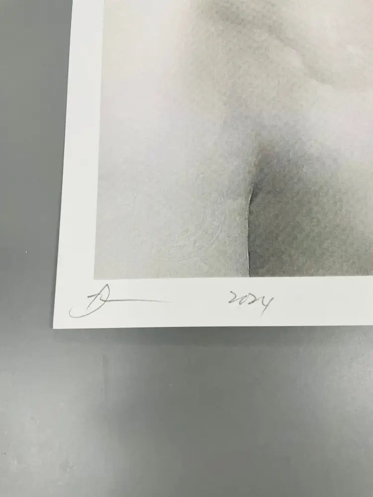 Auction ’Audrey plain’ 45x32cm (Edition of 100*) (2024) Art Print