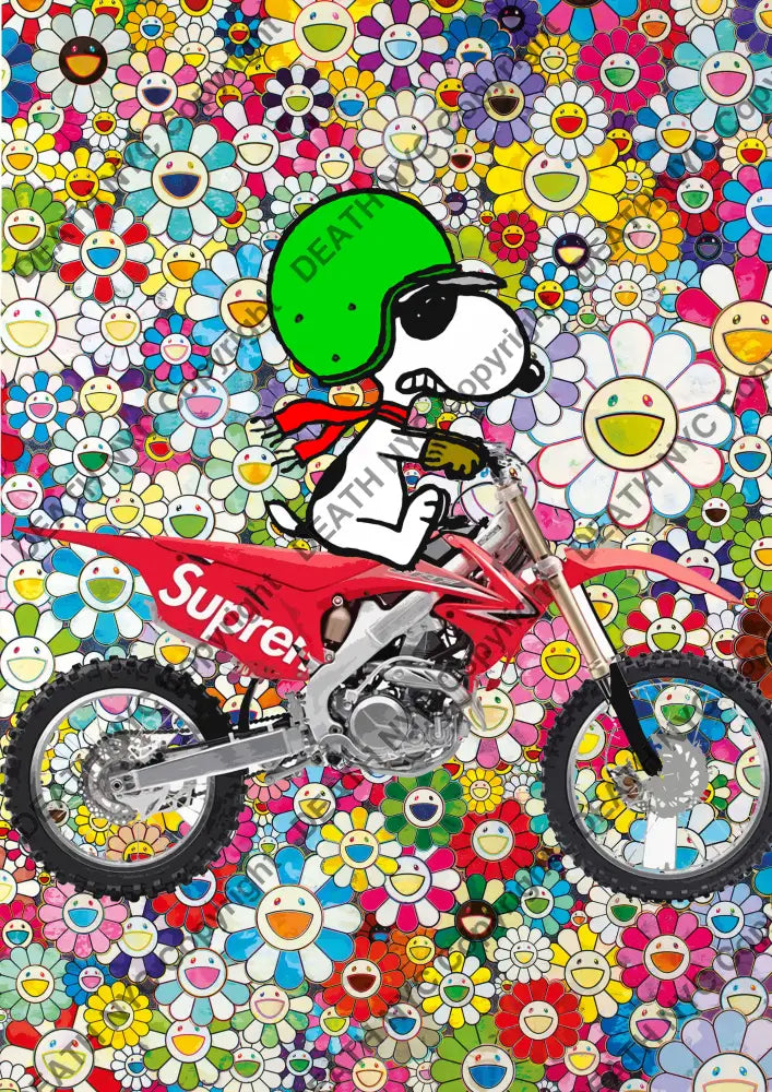 Auction ’silly bike ’ art print 45xFrieren32cm (Edition of 100) - Art Print