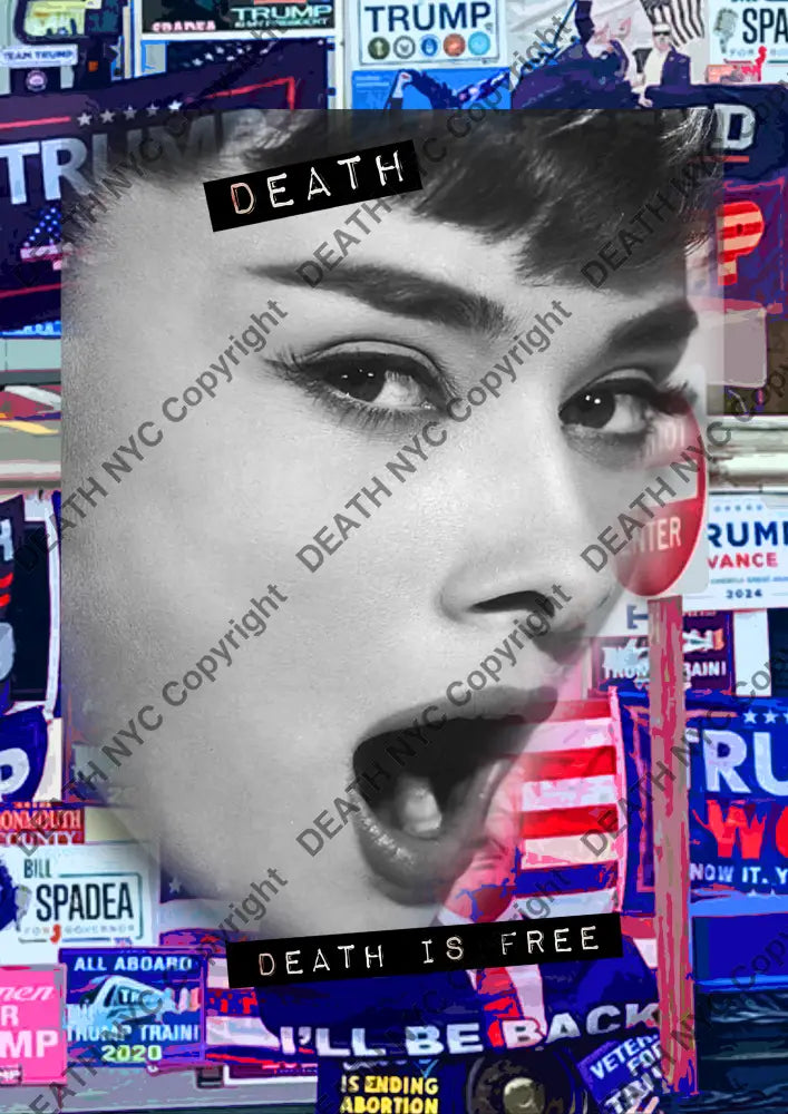 ’DEATHBE528’’ 45x32cm (Edition of 100*) (2025) Trump Audrey Art Print