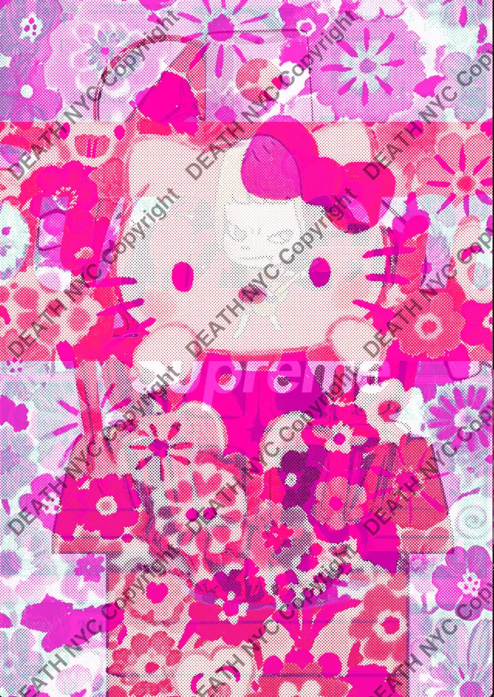 ’DEATHCA521’’ 45x32cm (Edition of 100*) (2025) kitty Art Print